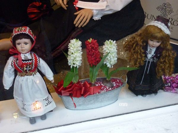 P1060547a.jpg