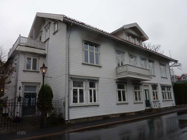P1060555a.jpg