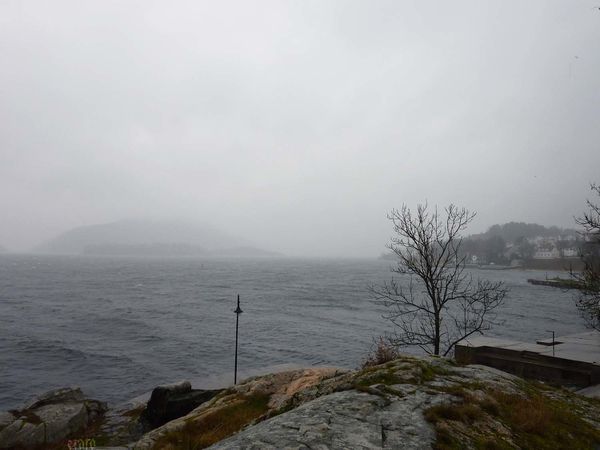P1060563a.jpg