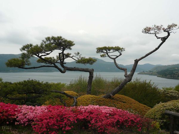 199_Hakone--7-a.jpg