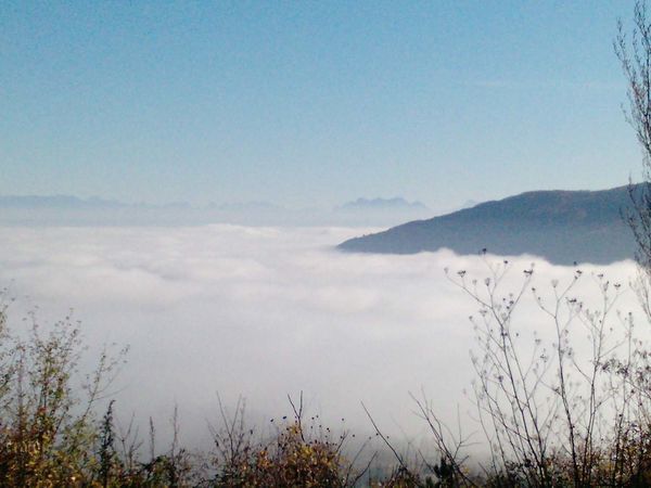 Janvier-2012---feu-085a.jpg