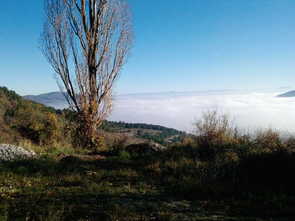 Janvier-2012---feu-086a.jpg