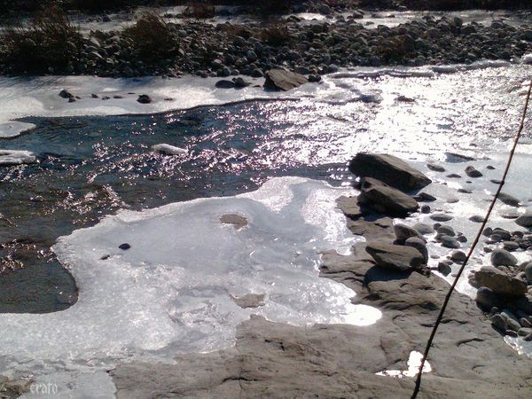 P1414_07-02-12a.jpg