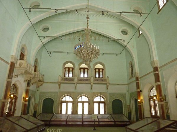 P1090122a.jpg