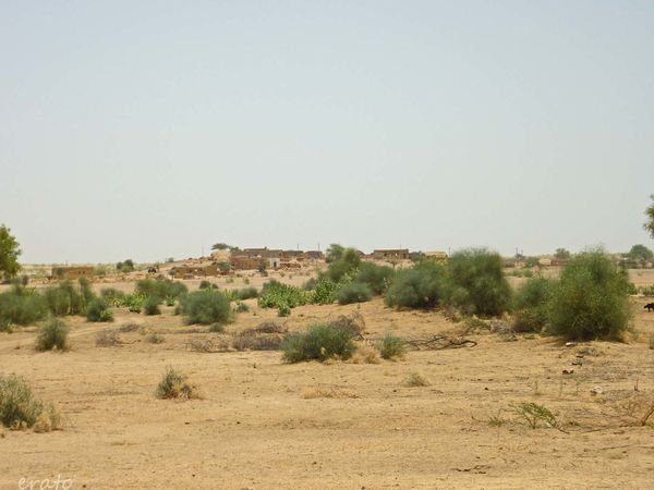 P1090650a.jpg