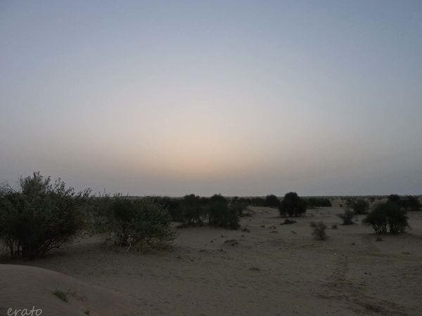 P1090799a.jpg