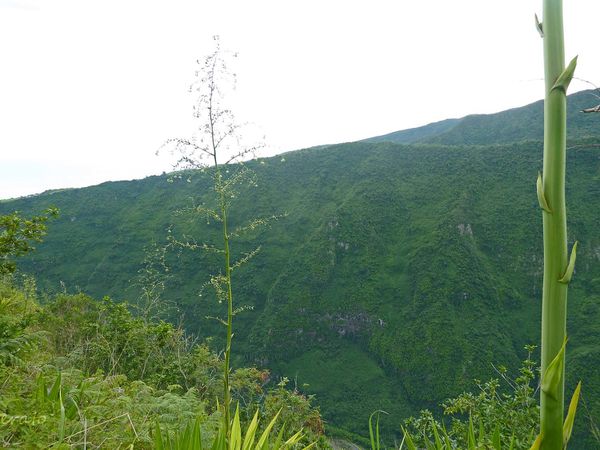 P1040462a.jpg