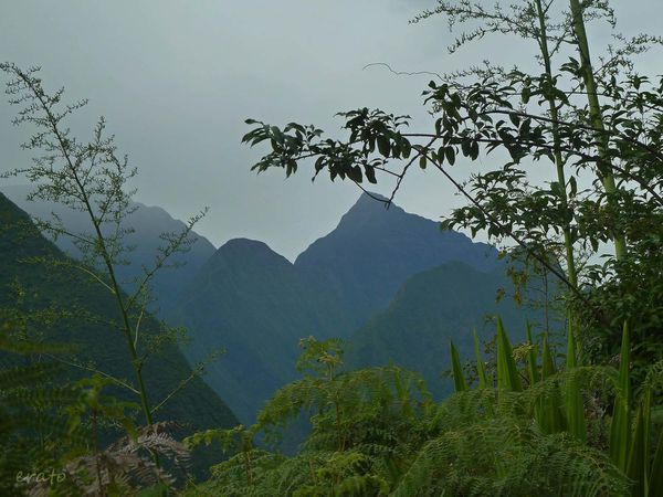 P1040468a.jpg