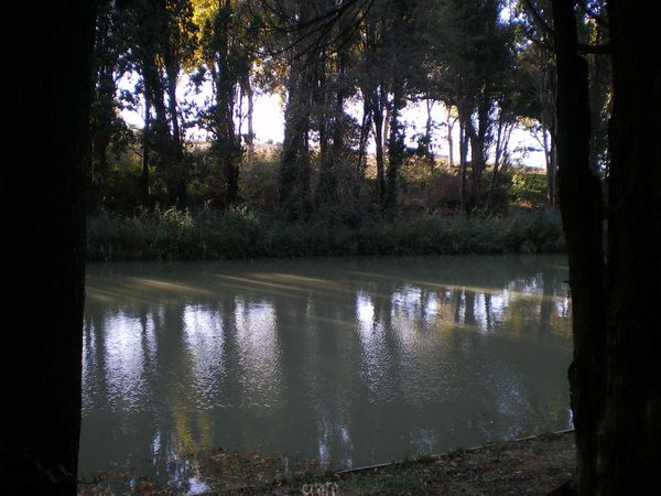 01nov.2011-Dorine-006a.jpg