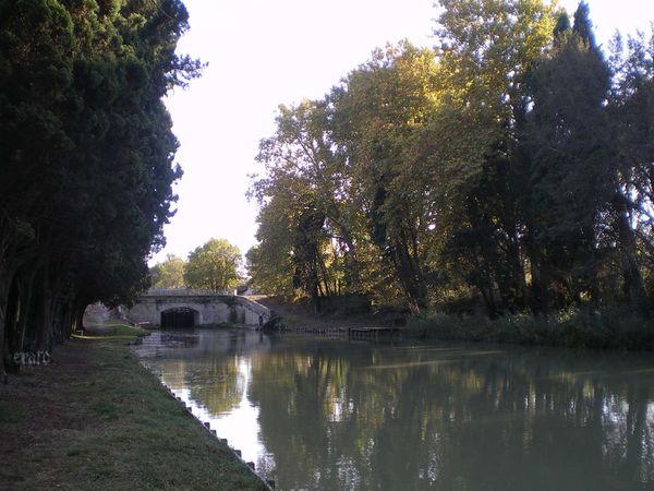 01nov.2011-Dorine-010a.jpg
