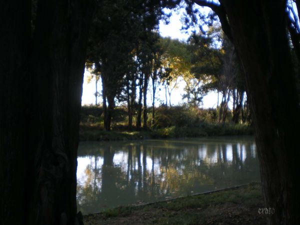 01nov.2011-Dorine-015a.jpg