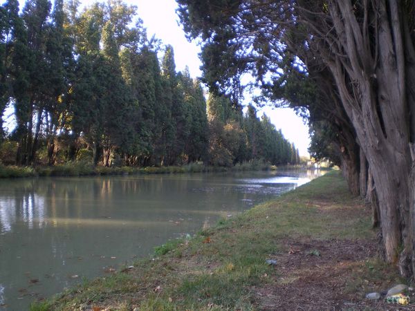 01nov.2011-Dorine-018a.jpg