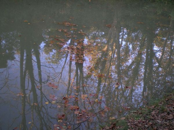 01nov.2011-Dorine-056a.jpg