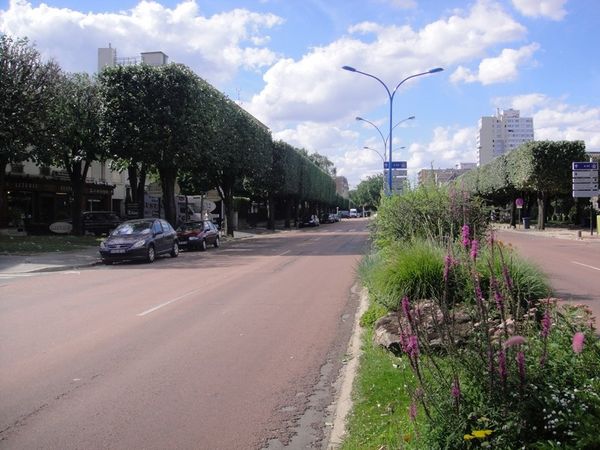 DSC02158.1.jpg