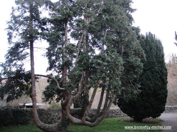 Saint-Saturnin-Jardin-Eglise.jpg
