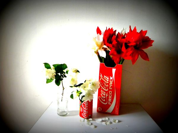 DSCN5515.JPG