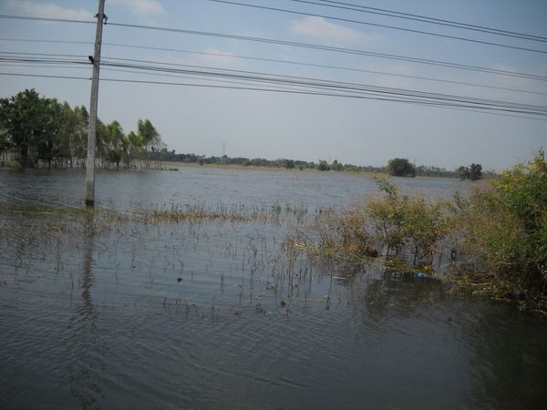 innondation (2)