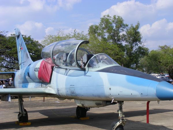 wing23 (3)