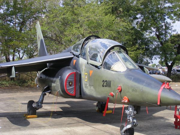wing23 (3)