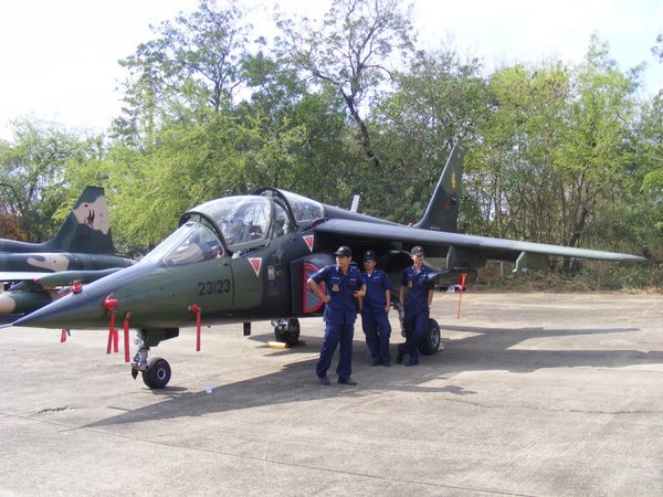wing23 (3)