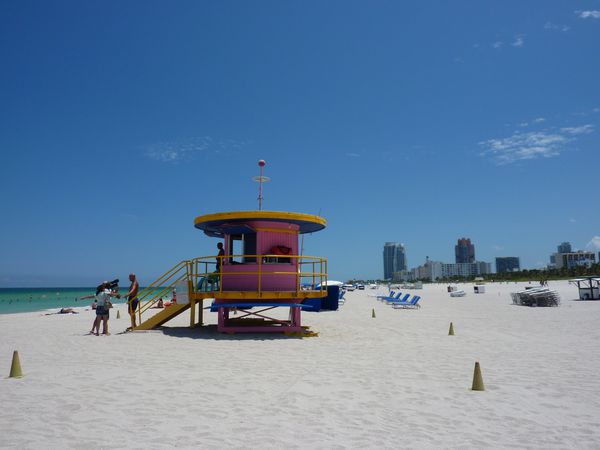 Miami beach Elodie