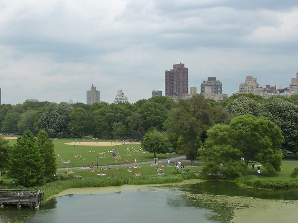 NYC Central park