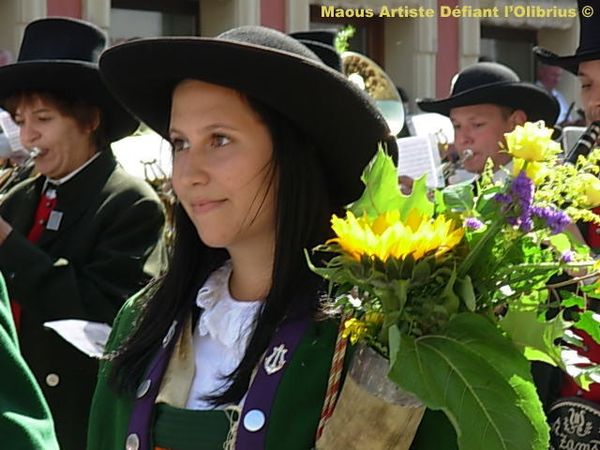 D-fil--d-innsbruck.jpg