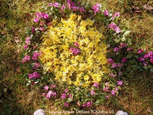 Mandala Land Art -> Cliquez sur la photo pour découvrir l'album des Mandala-deuil.JPG
