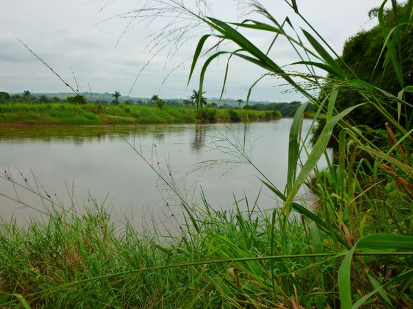 la rivière Inkisi