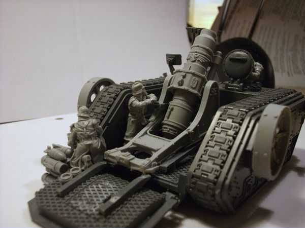 Griffon fini (5)
