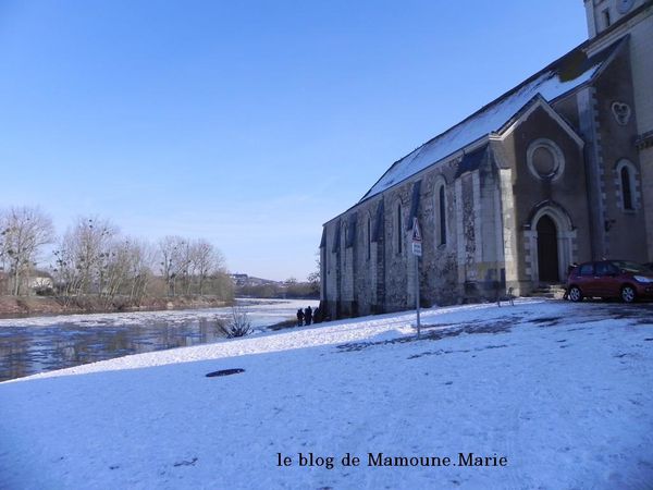 La Loire à chalonnes 12 02 2012.-7