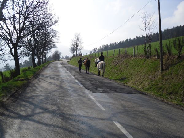 Col-de-la-Croix-de-Chaubouret--46-.JPG