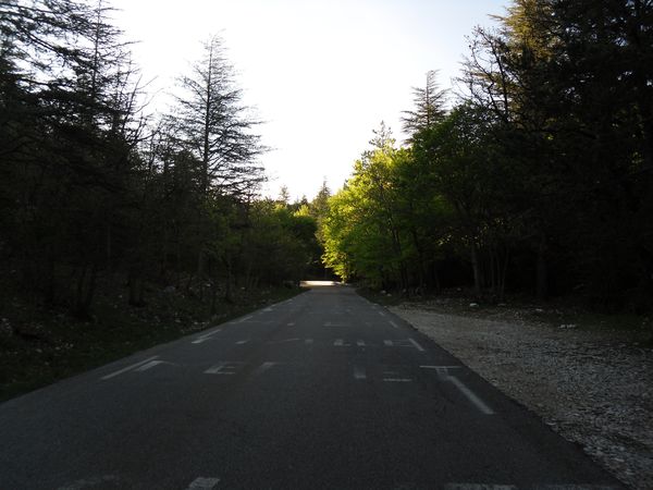025-copie-1.JPG
