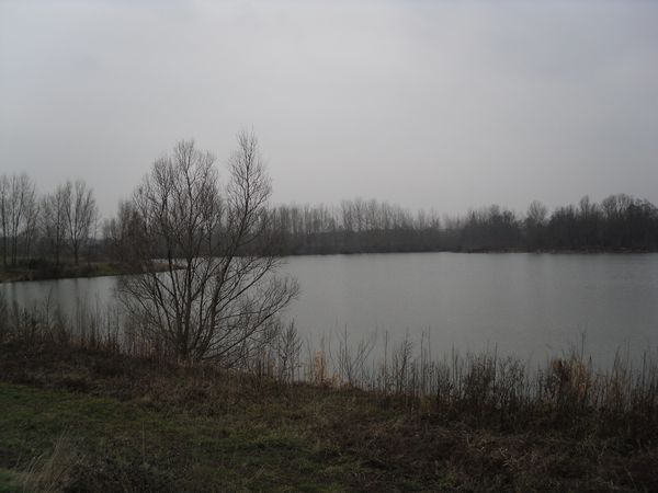 sortie-27-01--15-.JPG
