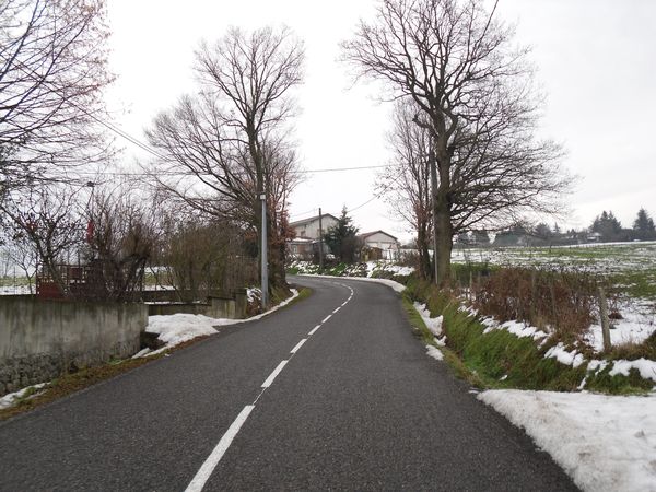 sortie-plaine-janvier--12-.JPG