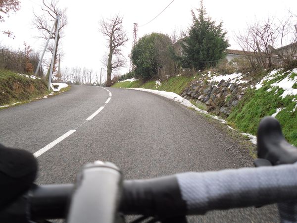 sortie-plaine-janvier--13-.JPG