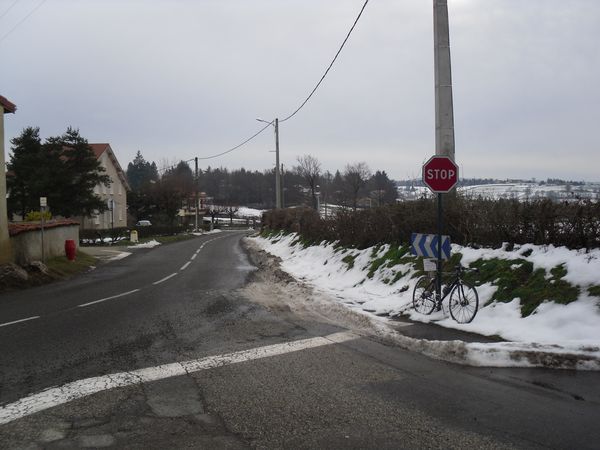 sortie-plaine-janvier--19-.JPG