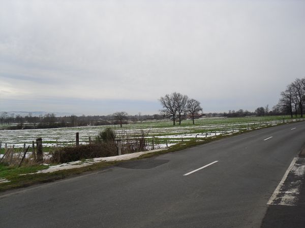 sortie-plaine-janvier--3-.JPG