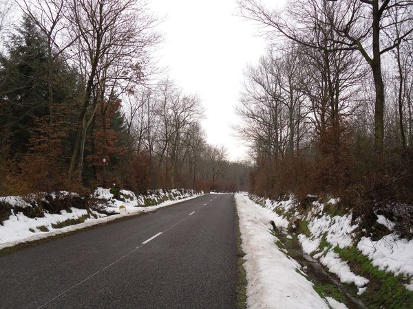 sortie-plaine-janvier--4-.JPG