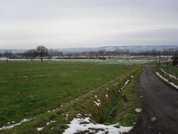 sortie-plaine-janvier.JPG
