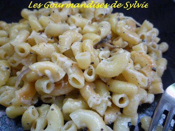Coquillotto à la Truffe 2
