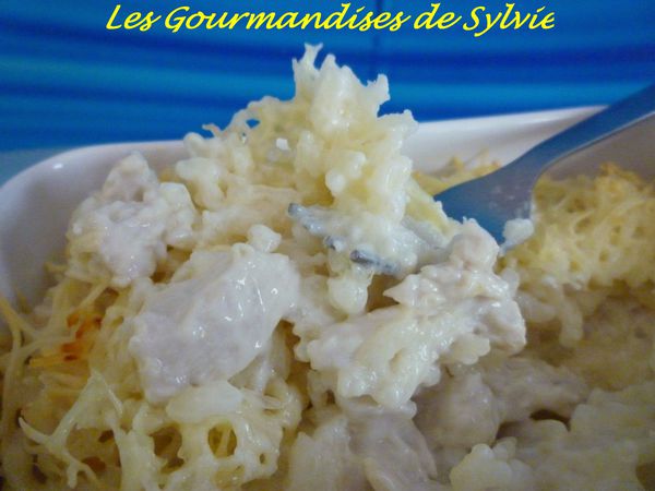 Blanc Manger de Poulet 2