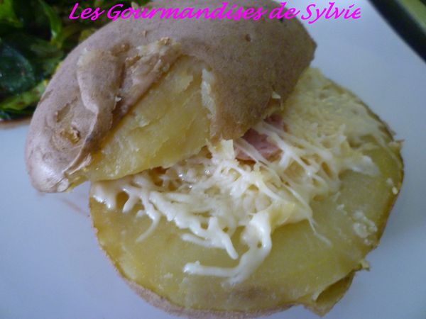 Hot Dog Parmentier 2
