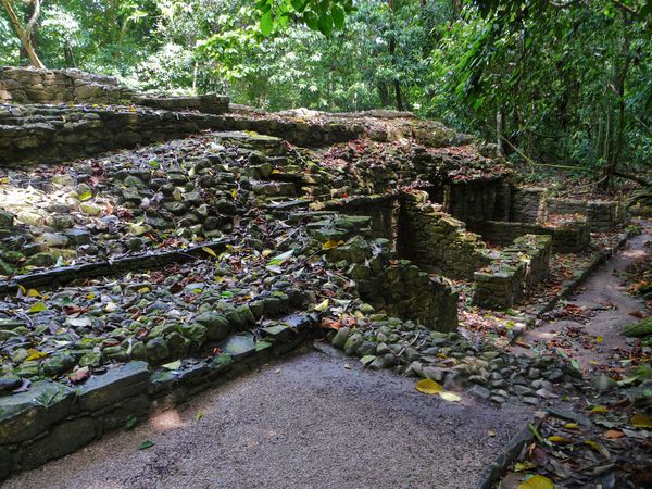 Jour 7 Palenque sentier forêt ruines 4
