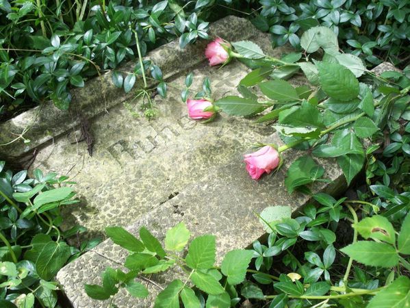 Armenfriedhof-Schnakeinen-3-.jpg