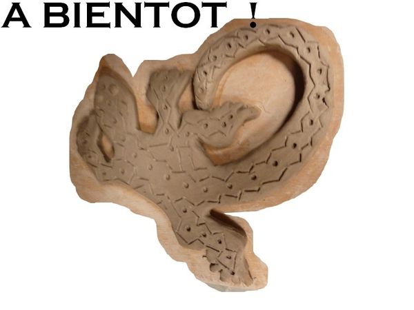 margouillat 5