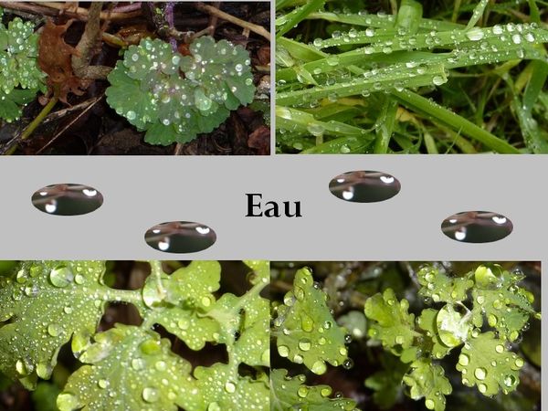 eau2