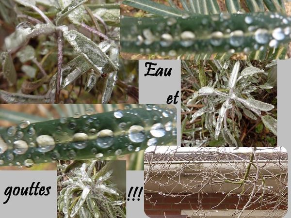 eau3