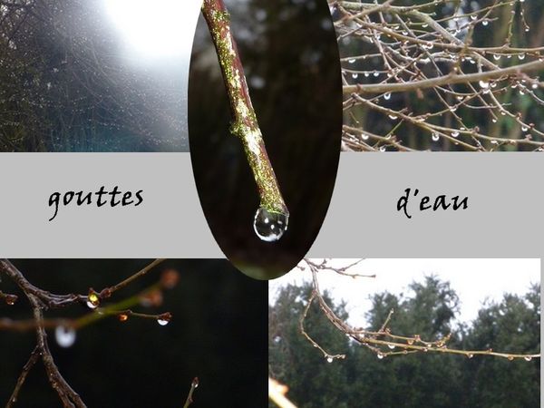 gouttes d'eau1