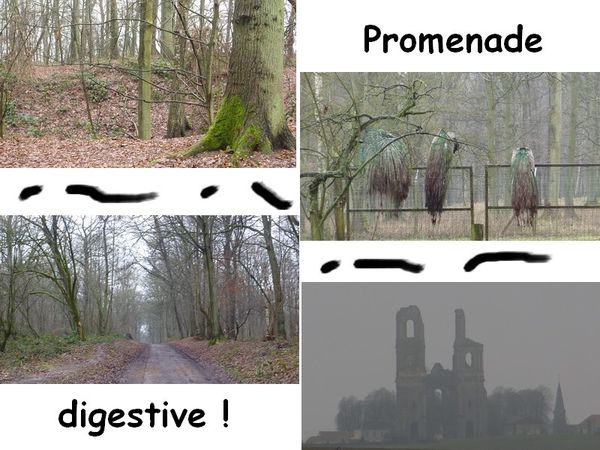 st eloi